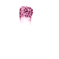 pastel rose sur calque,nuque david, 21x29,7cm, 2008 MX 33